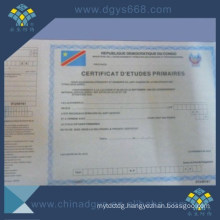 Watermark A4 Paper Security Anti-Counterfeiting Certificate in High Quality